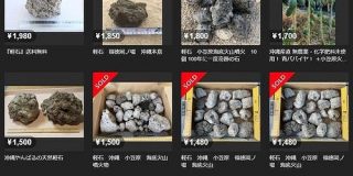メルカリ、小笠原海底火山噴火の軽石を出品禁止「成分が分からず安全性不明」 - ITmedia