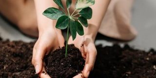 肥料の歴史～農業の始まりから化学肥料まで～ - 歴ログ