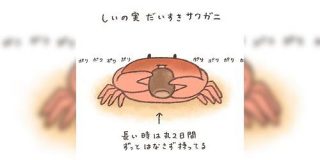 野生のサワガニはしいの実を食べるらしいので試しにあげてみたらこうなった「宮沢賢治の世界やん!」 - Togetter