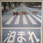 奈良県の観光ポスターは伝えたい事がストレートすぎて良い「奈良って泊まる理由がない」「惜しい一頭足りない」 – Togetter