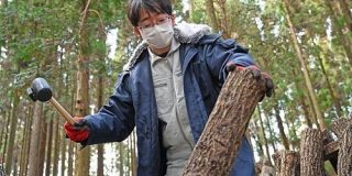 ほだ木を10打　シイタケ2倍　大分農研センター、増収の条件解明 - 日本農業新聞