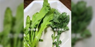 意外と知られてない？春菊には「東西」があって見た目も味もかなり違う「西のは生サラダで食べられる」 - Togetter