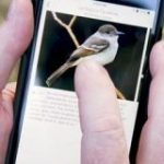 世界中のほぼすべての鳥の種類を判別できるスマホアプリ – ナゾロジー