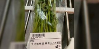｢パクチーめっちゃ悪口言われてる｣おつとめ品として安く売り出されていたパクチーに書かれた言葉に笑ってしまう人が続出→業界では普通にこう言うらしい - Togetter