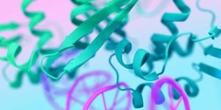 Google DeepMindがAIですべての生命分子の構造と相互作用を予測できる「AlphaFold 3」をオープンソース化、科学的発見と創薬の加速へ - GIGAZINE