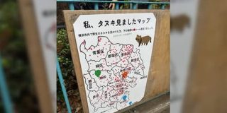 動物園で調査されていた『横浜市内のたぬき生息地調査マップ』思ってた以上に市街地で目撃されていてびっくり→こういう理由かも - Togetter