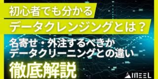 【初心者でもわかる】データクレンジングとは？名寄せ・データクリーニングとの違いや外注するべきかを解説 | WEEL