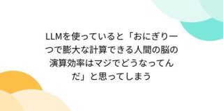 LLMを使っていると「おにぎり一つで膨大な計算できる人間の脳の演算効率はマジでどうなってんだ」と思ってしまう - Togetter