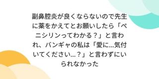 副鼻腔炎が良くならないので先生に薬をかえてとお願いしたら「ペニシリンってわかる?」と言われ、バンギャの私は「愛に...気付いてください...?」と言わずにいられなかった - Togetter