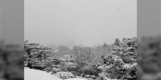 本当に加工しているのか…彩度0にしてもどれが元画像かわからない、雪の積もった金沢の白黒っぷりに驚きの声が集まる - Togetter