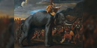 スペインで見つかったゾウの骨が『ハンニバル』の戦象ではと話題に「マジで象連れてアルプス越えしてたのか」「DNA鑑定されれば…」 - Togetter