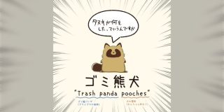 機械翻訳によって英語圏から「ゴミ熊犬」というとんでもない悪口みたいな名前で呼ばれてしまうたぬき→「Tanuki」を広める活動がスタート - Togetter