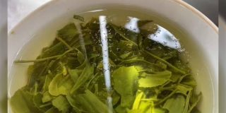 新茶を淹れた時、埃みたいなのが浮いていてもそれは埃じゃないよ、というお話「ずっと不思議に思ってた」 - Togetter