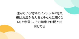 住んでいる地域のイノシシが「電気柵はお尻から入るとそんなに痛くない」と学習し、その知恵を仲間と共有してる - Togetter